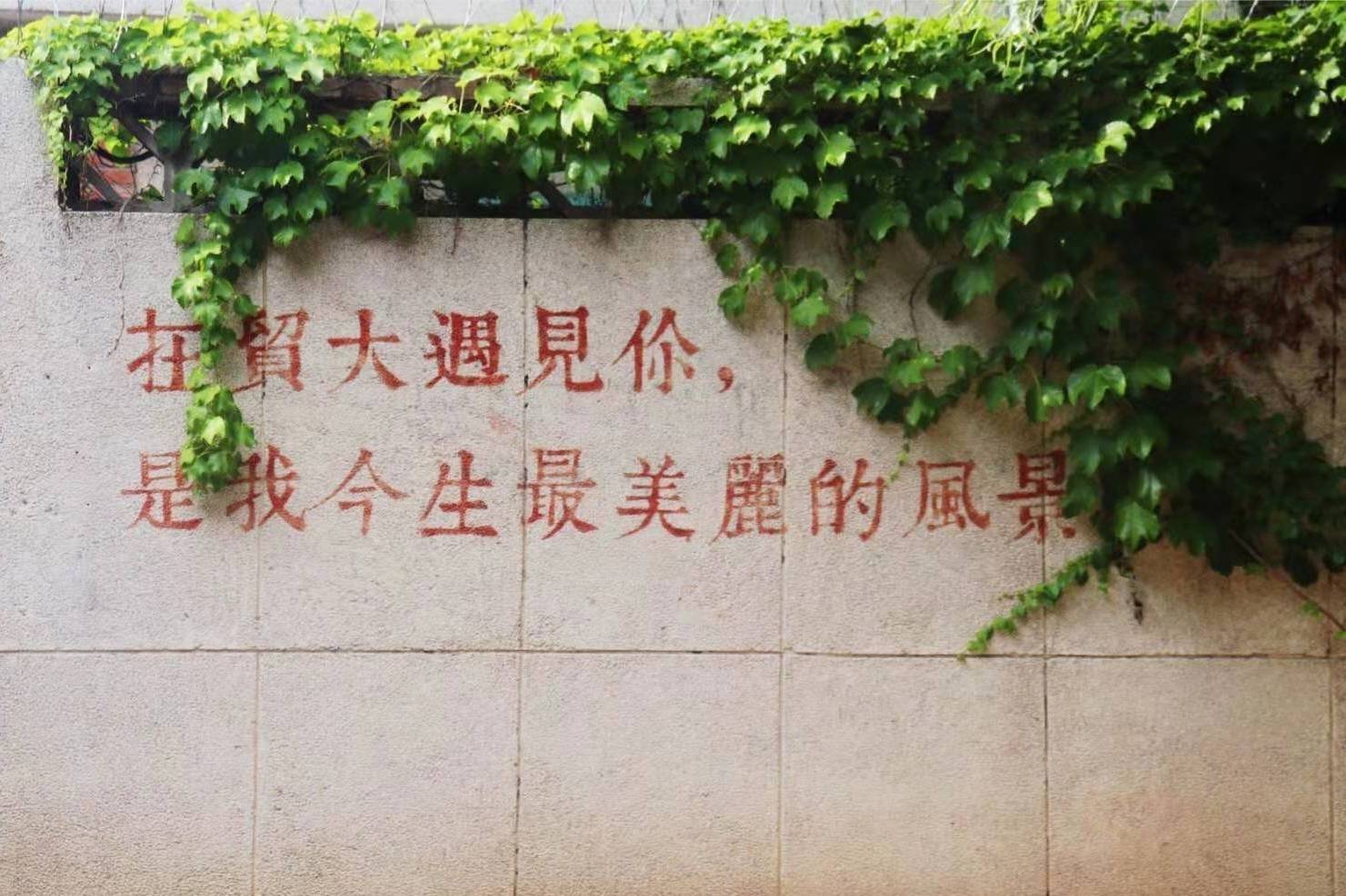 对外经济贸易大学怎么样选就对了