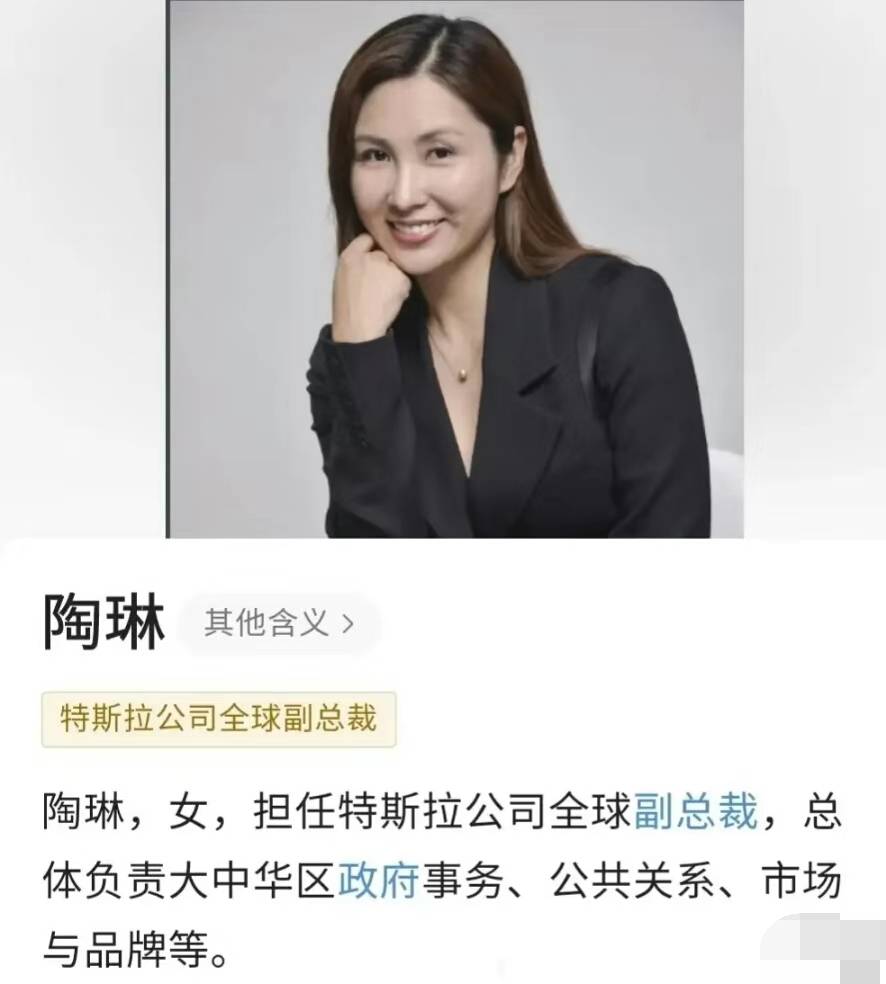 特斯拉副总裁陶琳的公关水平如何她是什么来头