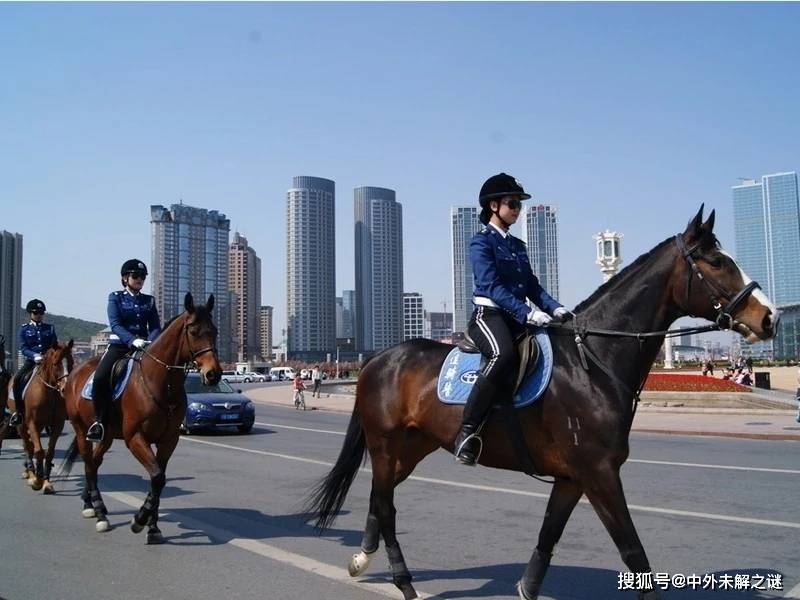 大连女骑警是世界第一支编制女子骑警队,为何引发争议差点撤销?