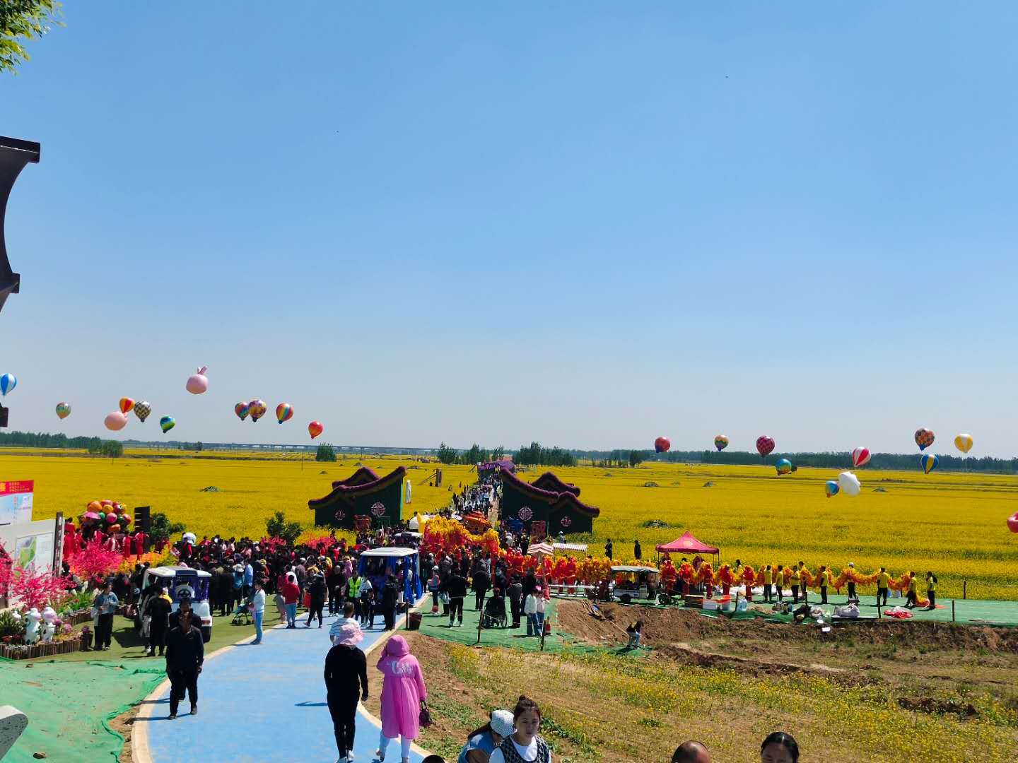 第二届中国(故城)运河花海 艺术节在河北故城开幕