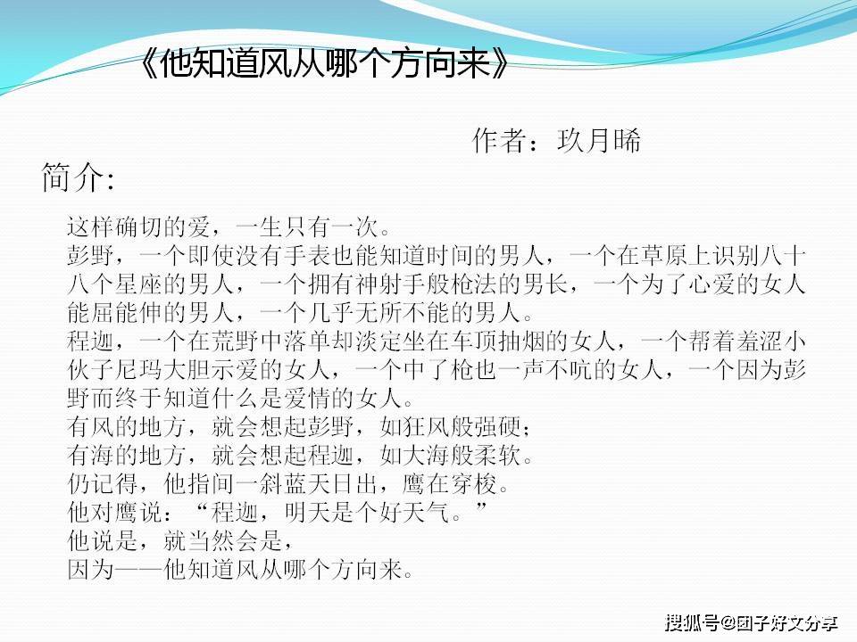 大家好,团子今天给大家分享的书籍是 玖月晞"追风系列"中的一本书
