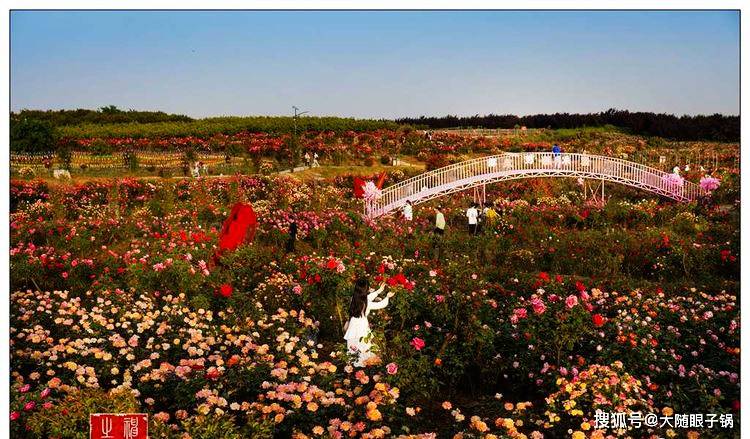 随州炎帝故里的后花园:炎帝紫薇园