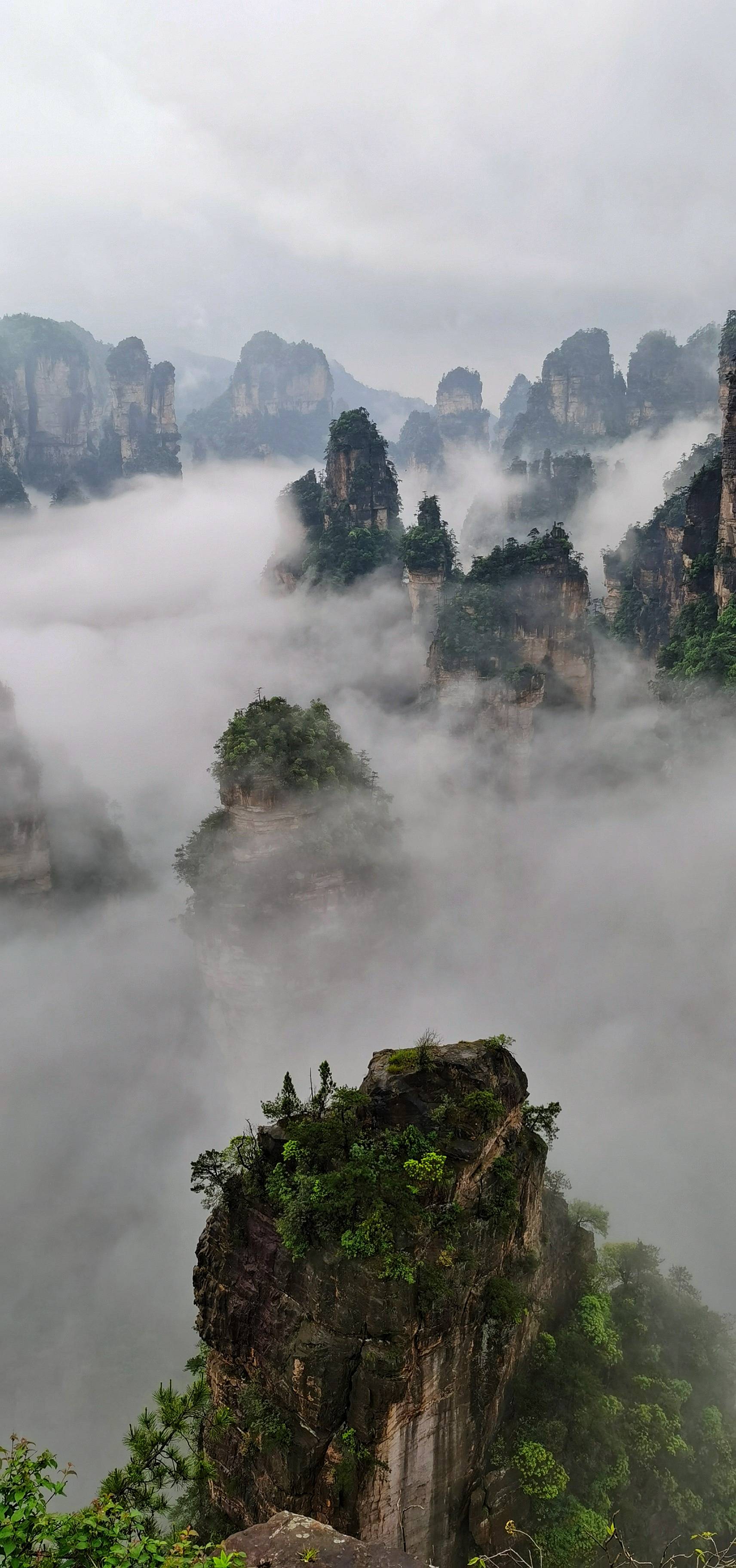 张家界:云海峰林胜仙境 陶醉天下摄影人(组图)