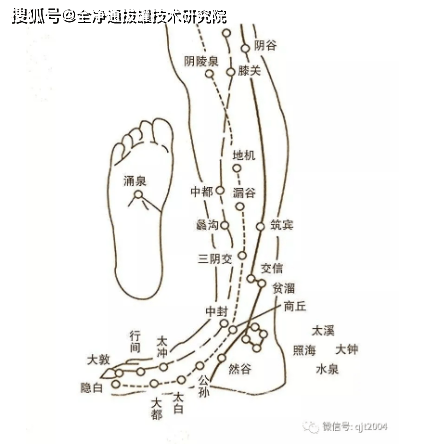 有人体第二心脏之称的脚底拔罐将是中老年人养生的一大重要方向