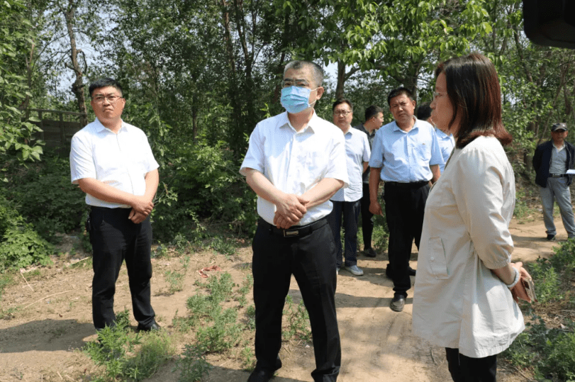 衡水市桃城区领导崔邦文调研安全生产,消防安全,巡河工作