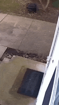 原创搞笑gif趣图,为了要点零花钱,男人真不容易