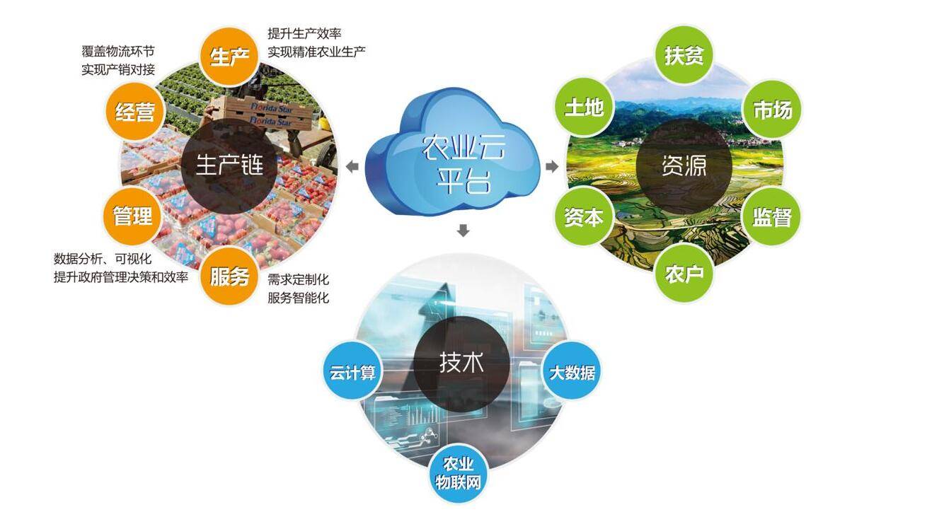 新农村 新征程 新发展|乡村振兴进入重要战略机遇期 信息化引领农业