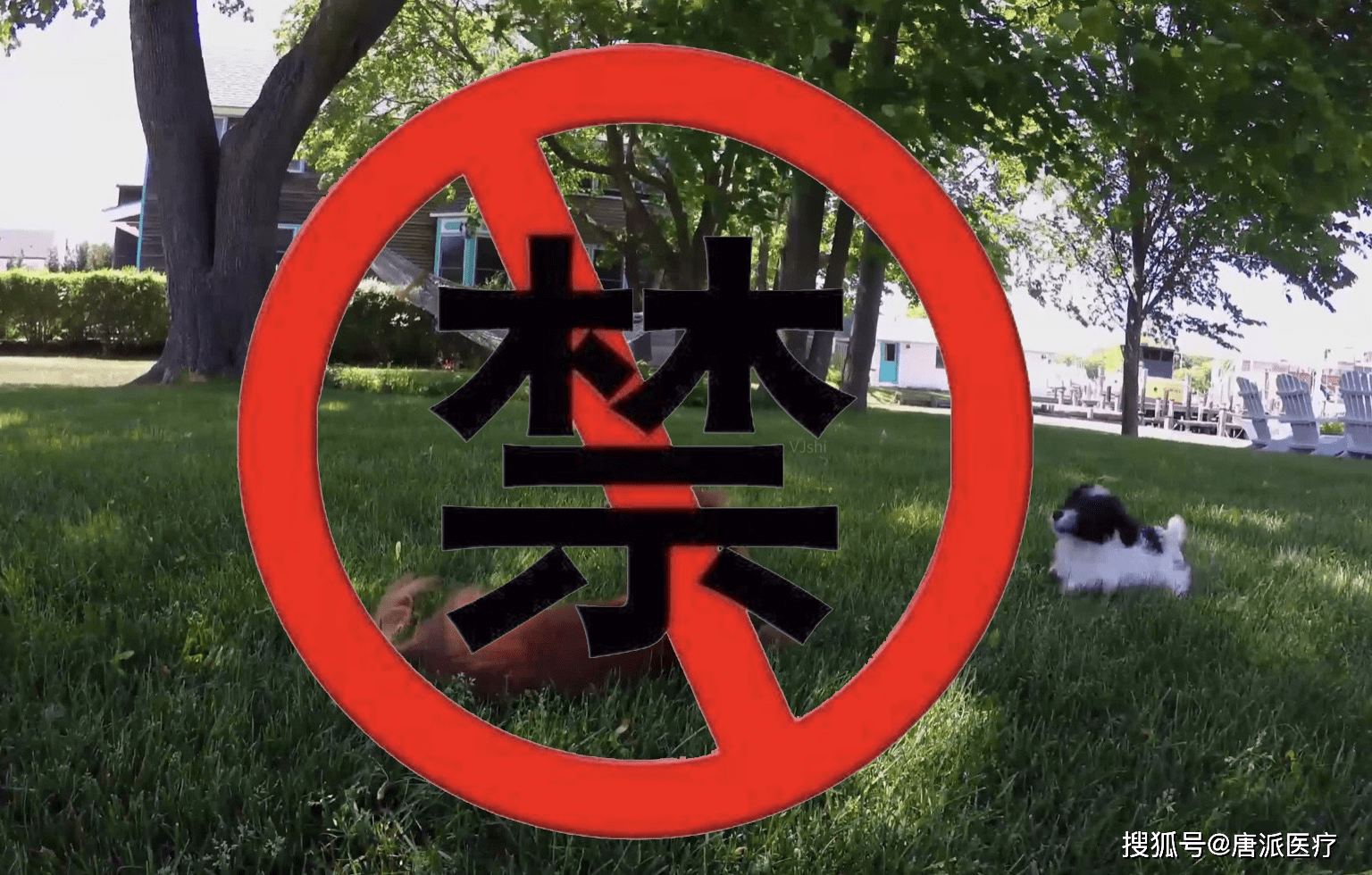 5,如非必要,禁止出门