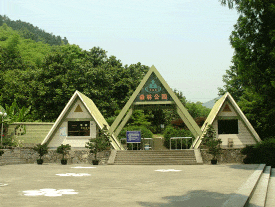 杭州东明山森林公园