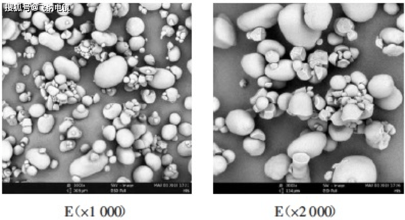 扫描电镜带你认识小可爱的淀粉颗粒们