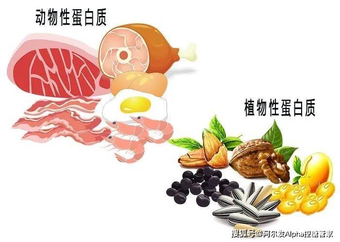 熟悉蛋白质是控糖路上的必修课_血糖