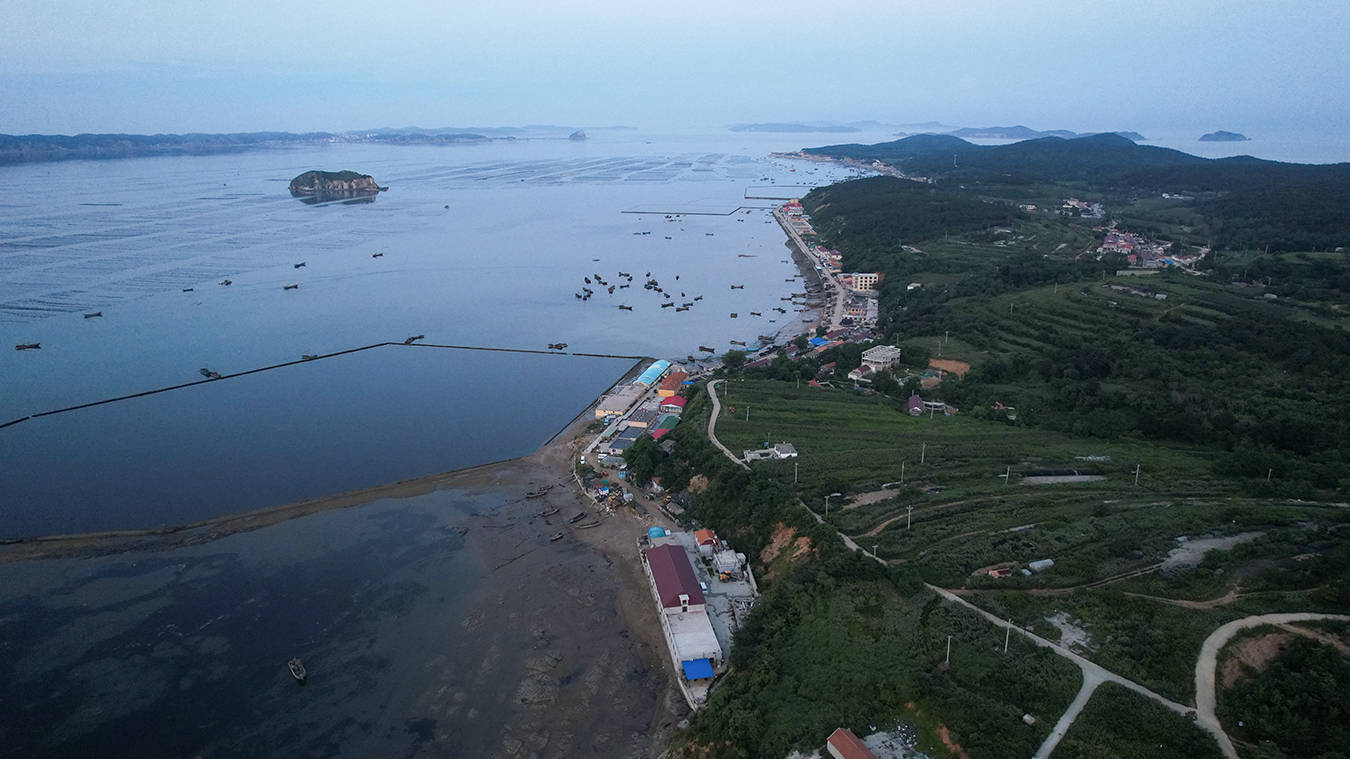 大连海岛游哪里好?这么多小岛选哪个?听哈仙岛王老五说道说道!