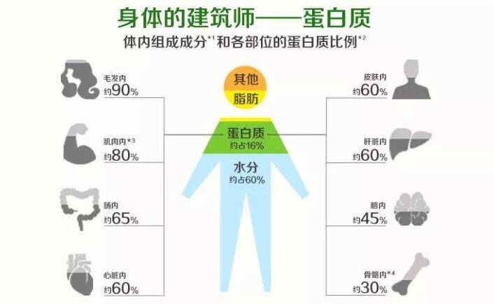 身体缺乏蛋白质的5中表现,你知道吗?