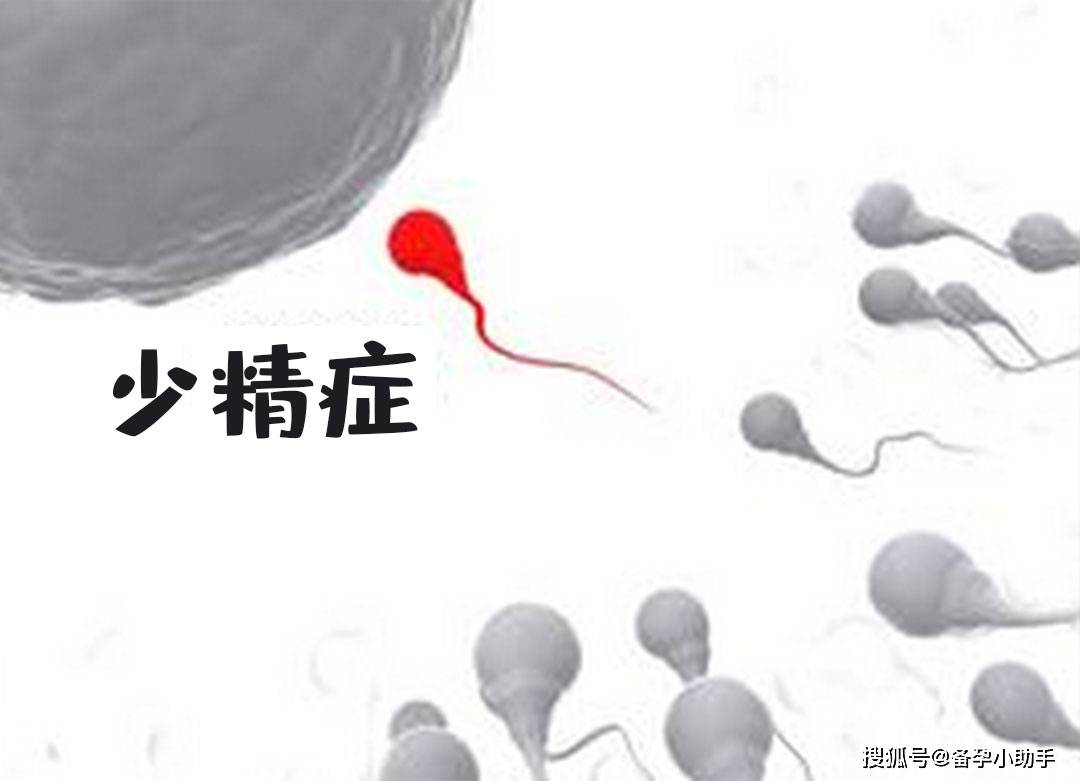 男性少精症怎么回事能通过调理收获好孕吗