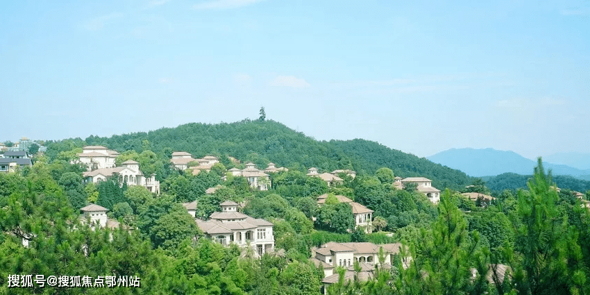 千岛湖天屿山顶度假独栋别墅—官方网站—『天屿山顶别墅』—欢迎您!