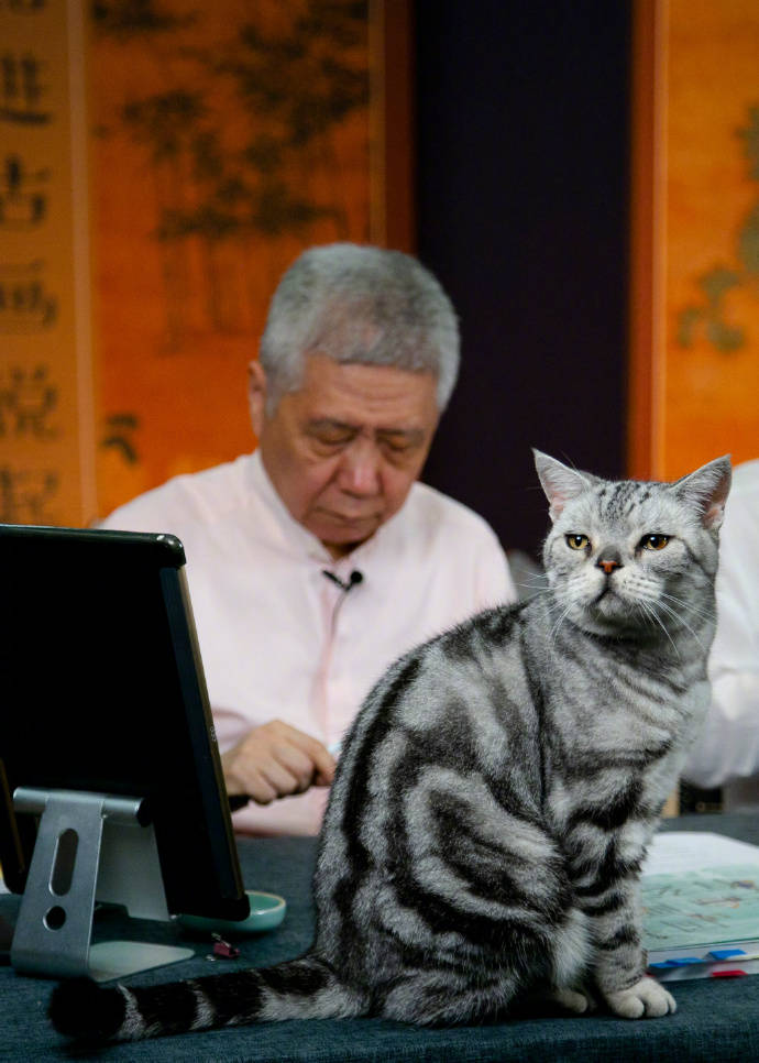 观复猫馆长马都督陪马未都直播在《唐宫夜宴》这个节目成了观众心中的