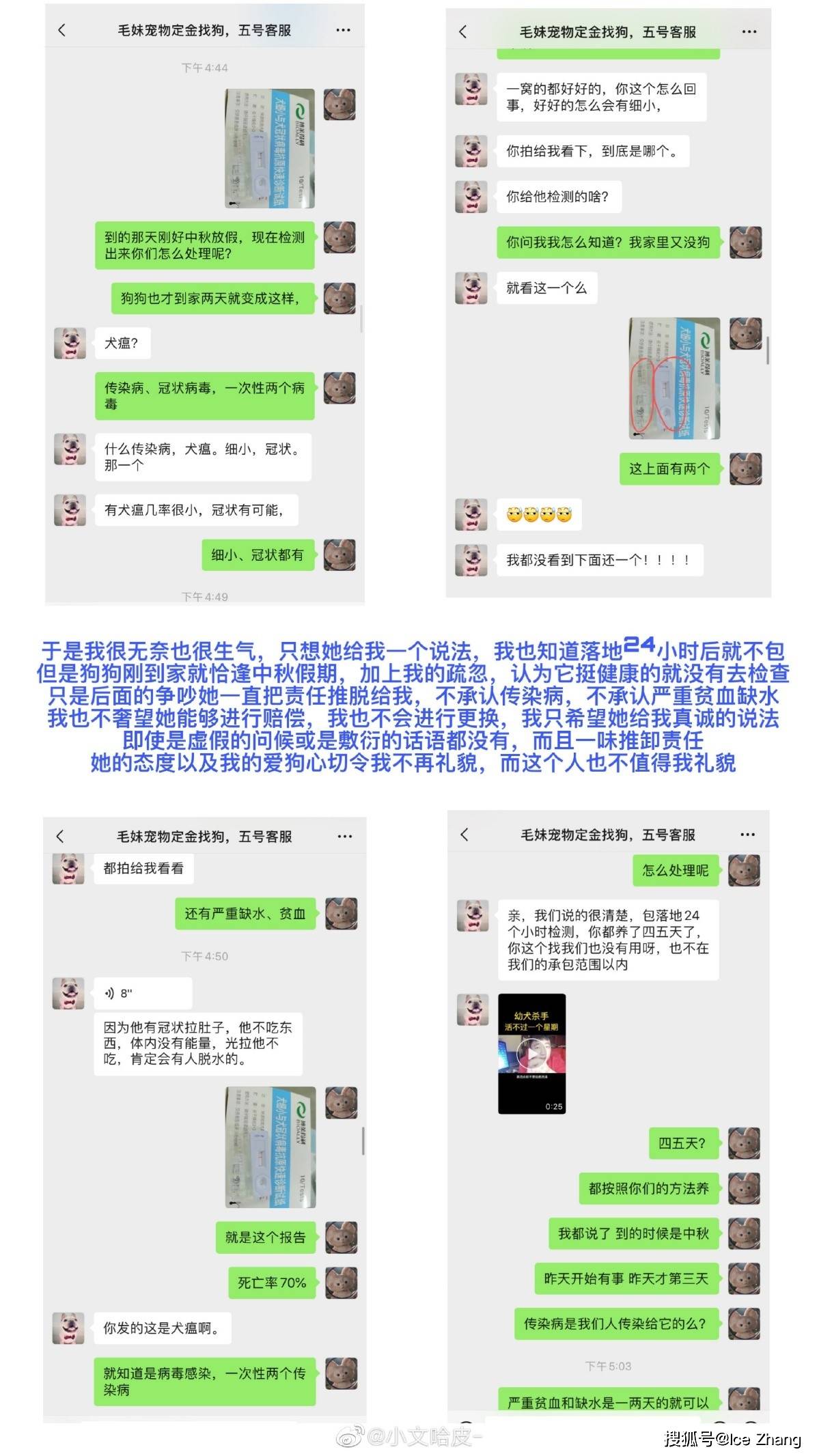 爱狗人士注意了!某平台电商无良售卖"星期狗"_狗狗