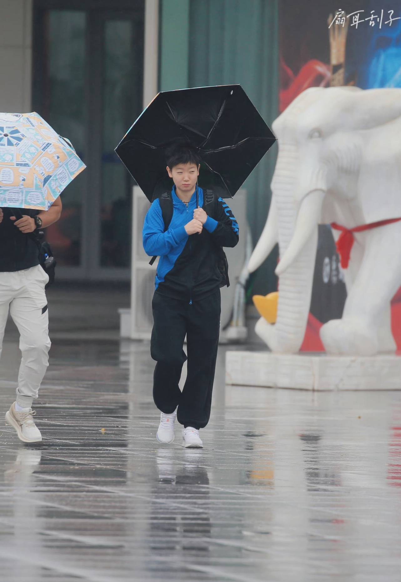 组图:风太大!孙颖莎伞被吹翻 无辜表情太可爱