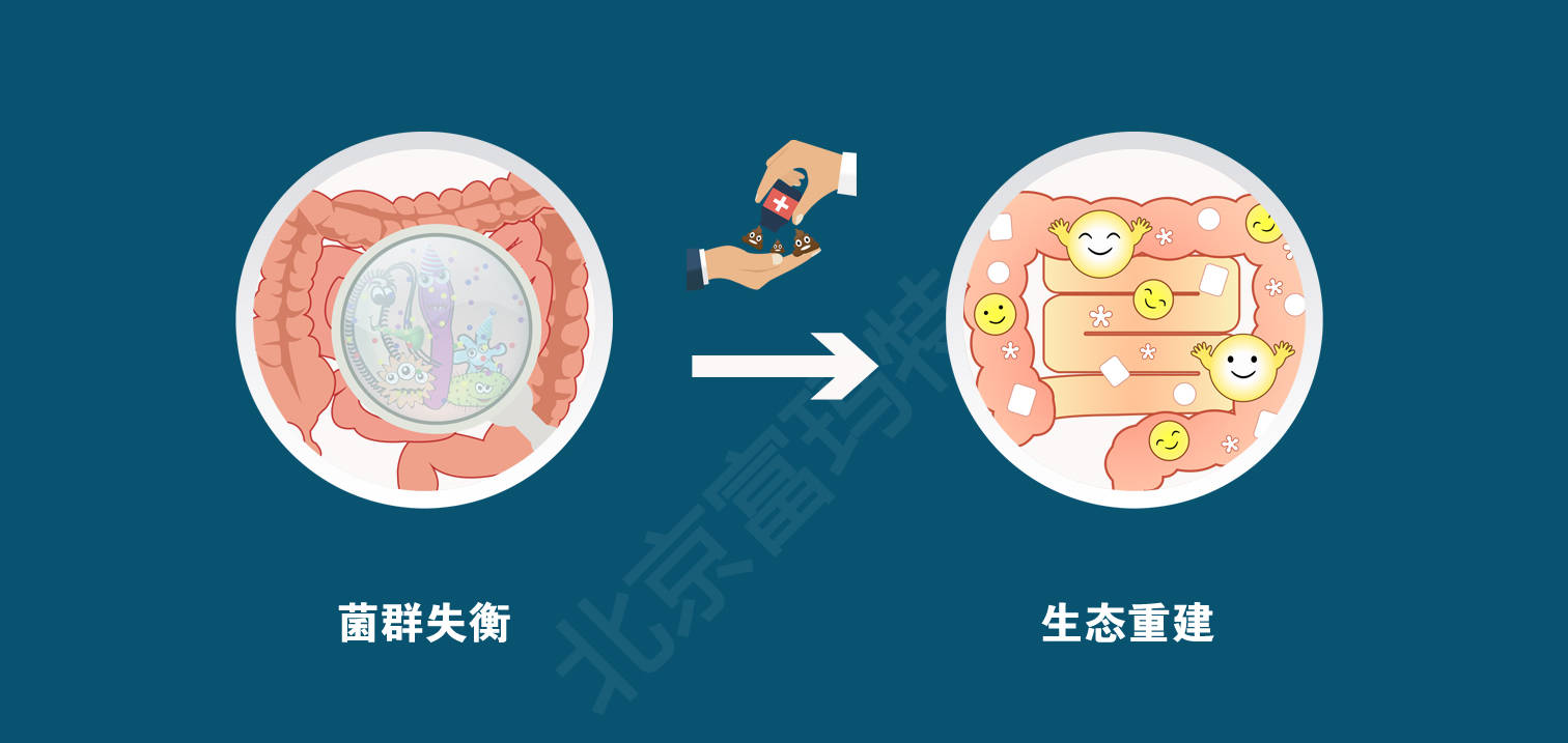 "菌群移植对于传统治疗无效,且与肠道菌群紊乱有密切关系的肠道内外