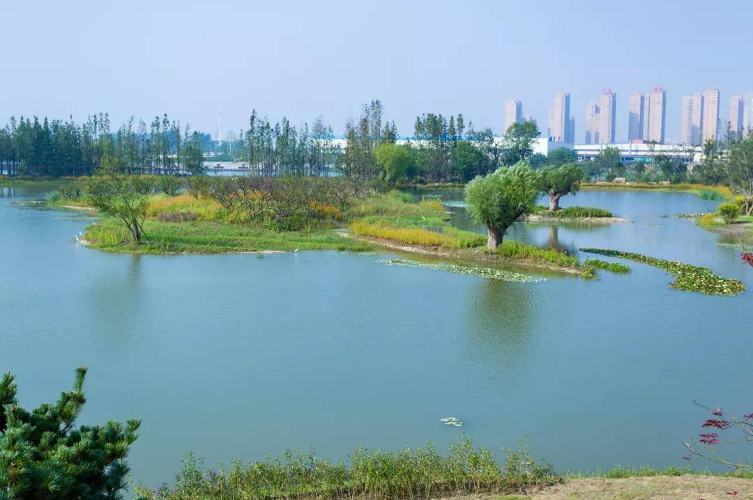 扬州三湾生态中心城市更新遇见未来