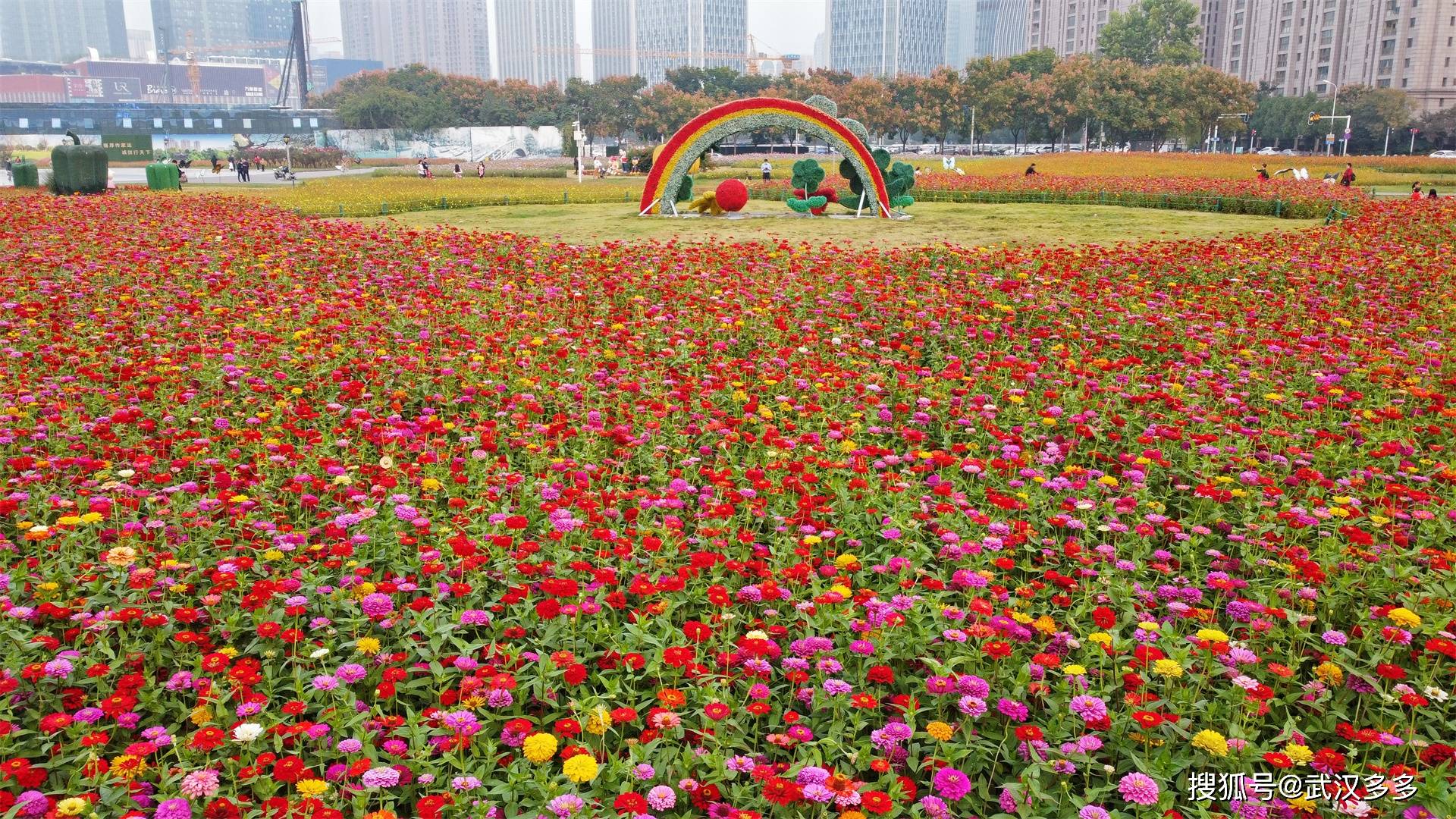 有一片比较大的精致花海,位于泛海城市广场前,这个花海品种不少,红黄
