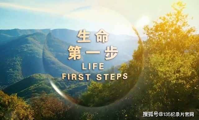 生命诞生纪录片《生命第一步 life first steps》(又名:成长第一步)