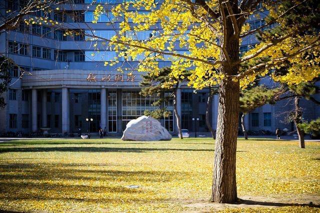 北京理工大学4 0国际本科_项目_高等教育_合作