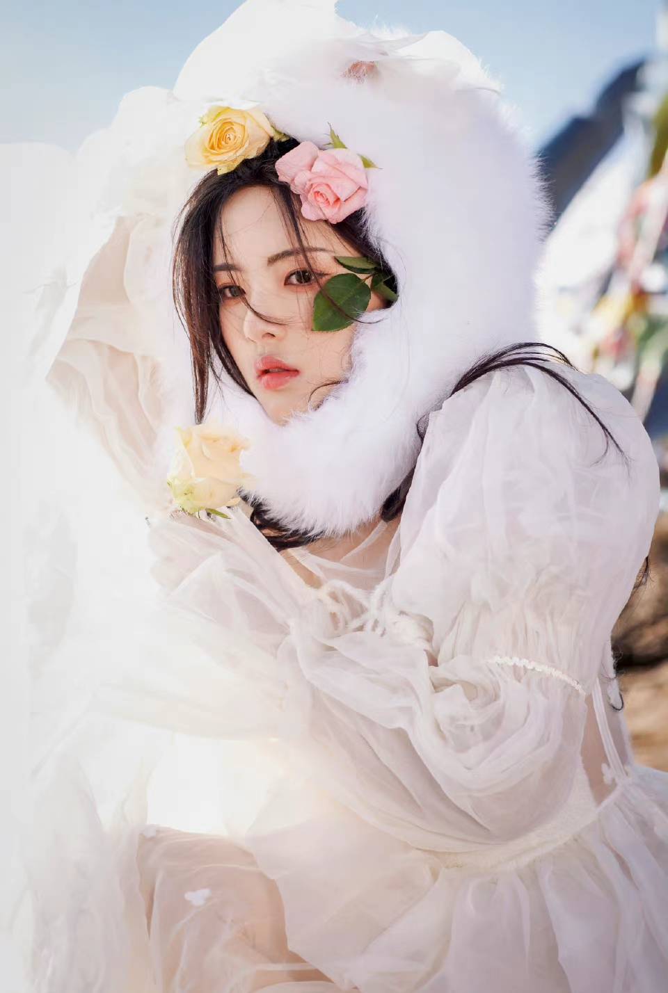 杨超越荒野玫瑰写真,每一张都是可以当壁纸的程度-沐风文化