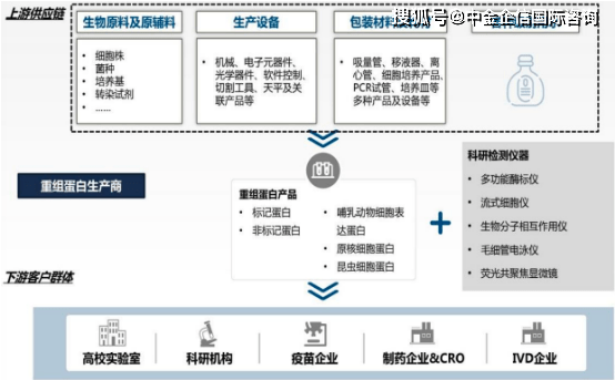 2,重组蛋白产业链分析:重组蛋白产业链由上游生物制品原料,原辅料