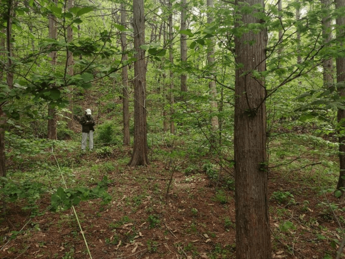 栖霞牙山省级自然保护区生物多样性调查初见成效