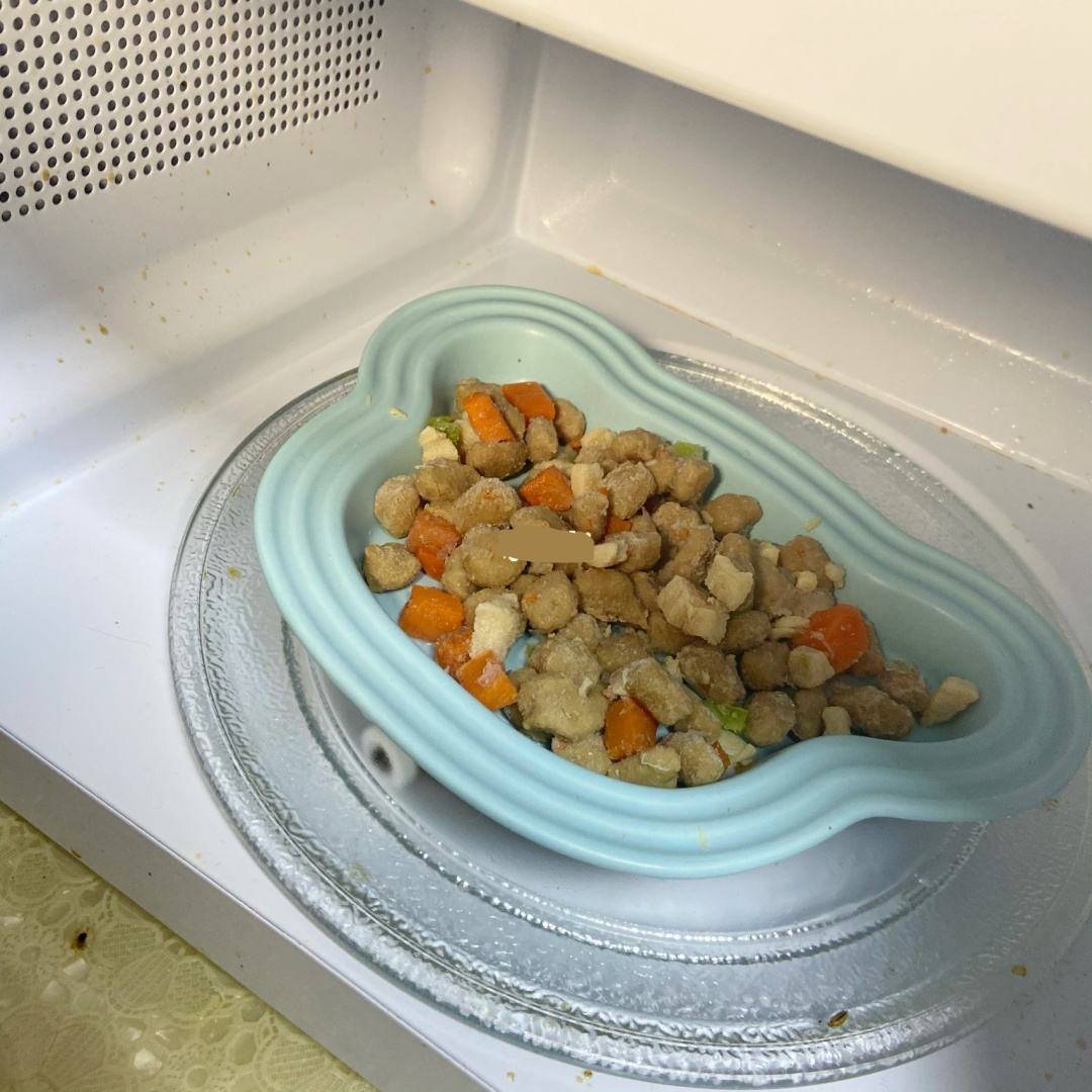食物_饭盆_猫咪