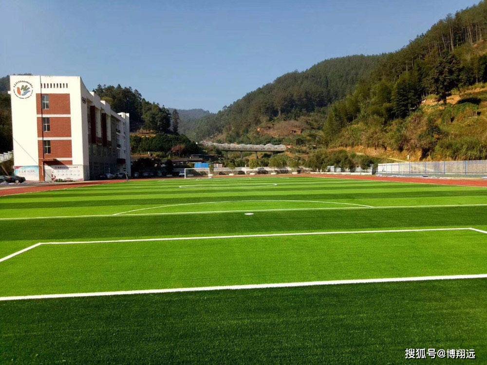 足球人造2025江西省城市足球联赛-赛程/比分/球队阵容全掌握-本地热血来袭！草坪多少钱