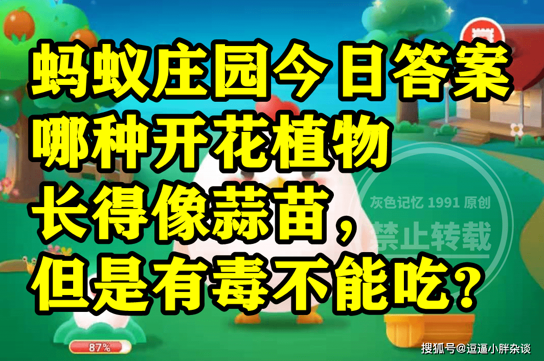 长得像蒜苗但有毒不克不及吃的开花动物是鸡冠花吗？蚂蚁庄园谜底