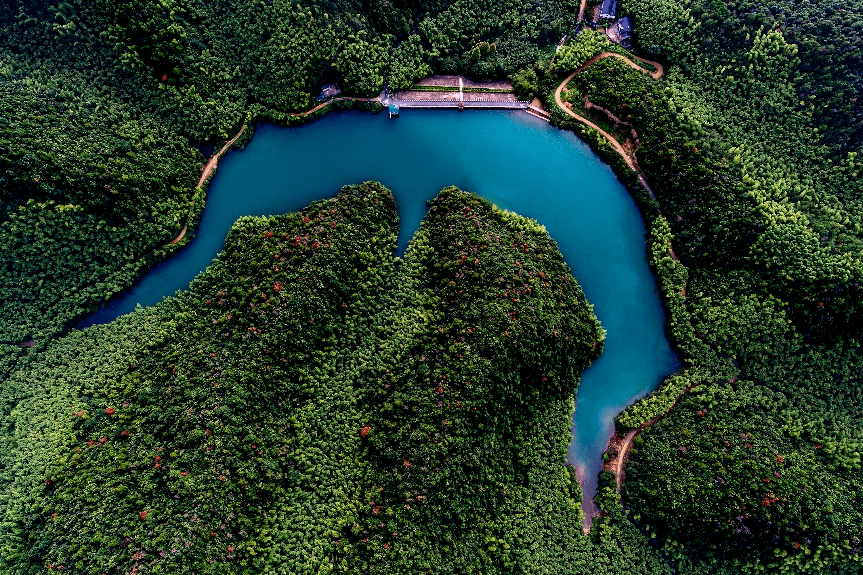 余杭青山村，“数字游民”的归属地