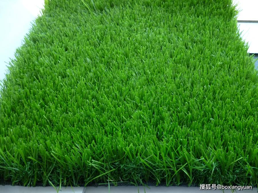 仿真草坪多少钱一平方