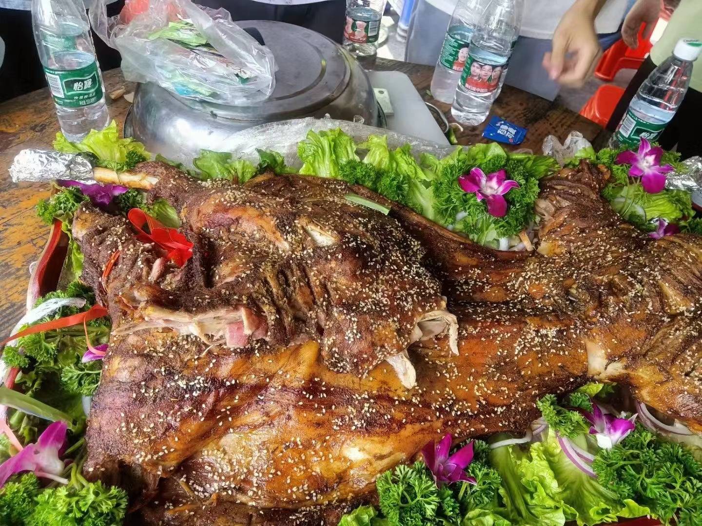 开云体育 开云平台深圳农家乐夏季园游会周末出游好去处(图5)