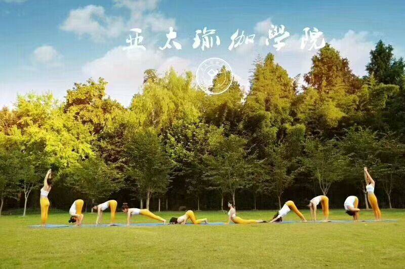 瑜伽教练一个月可以挣多少钱呢？米乐 M6(图1)