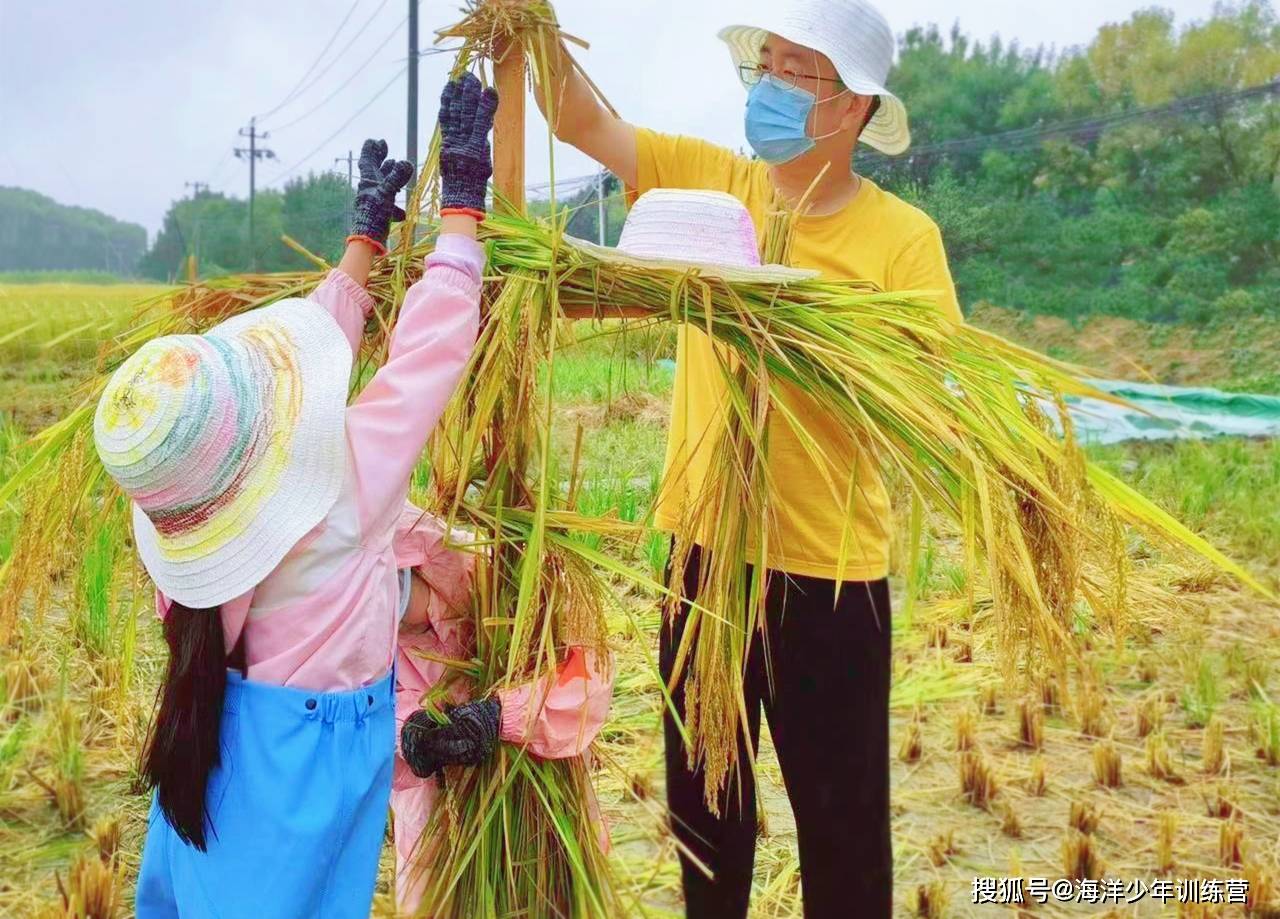 【十一北必一运动官网京营合集】走进户外的10种玩法开启即将到来的假期！(图34)