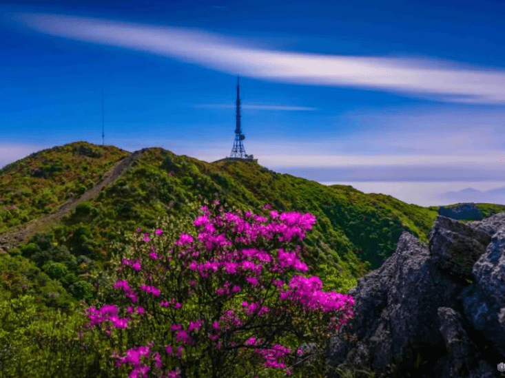 四海云游郴州旅游线路安全吗，具体有哪些景点？