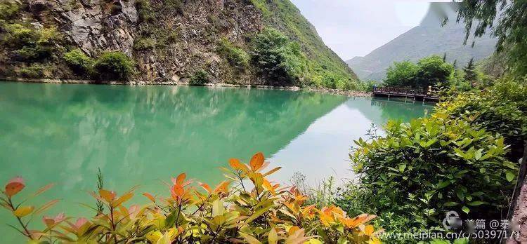 趁阳光正好,武都姚寨沟约起来!_风景区