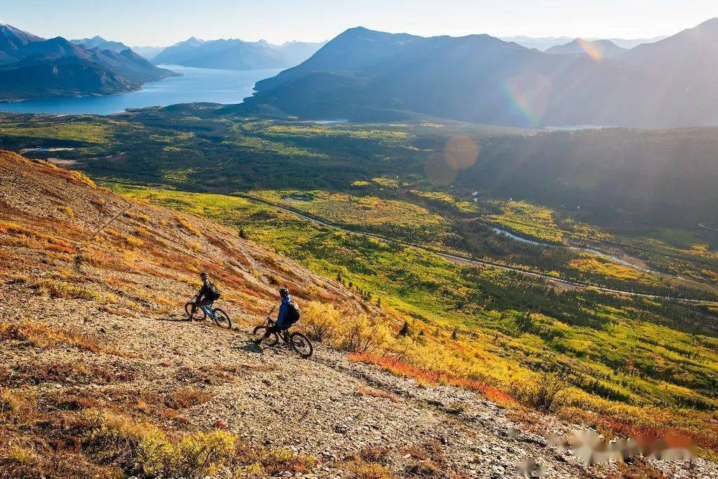 松是顺时针还是逆时针 34dd90746a3841bf85c52bff2da4d84c.jpeg