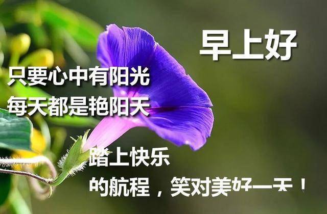 大家早上好,新的六月新的开始,早上好图片祝福;早安