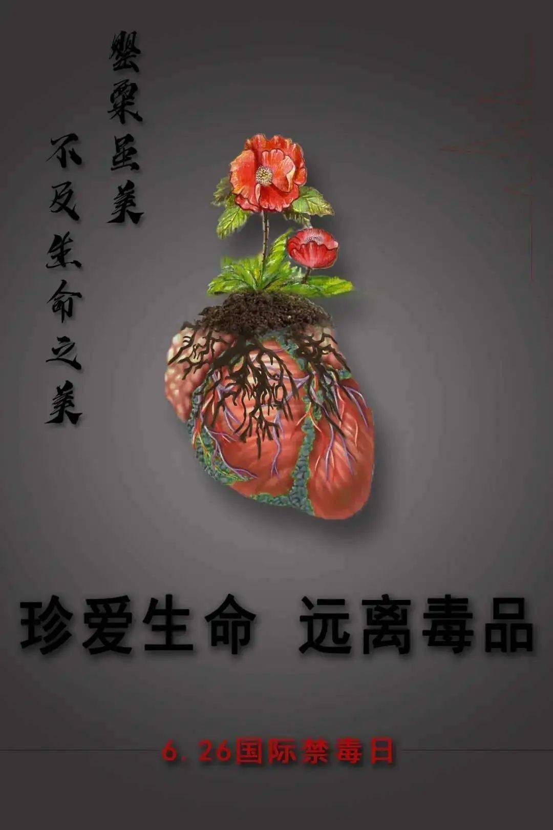 绘无毒青春,创健康校园ii禁毒知识海报大赛结果揭晓啦