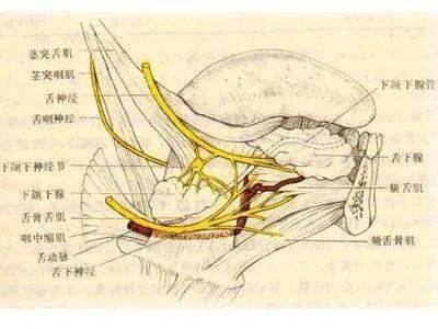 外科医生用浮针 | 左颌下腺术后舌体无知觉,难弄.这例