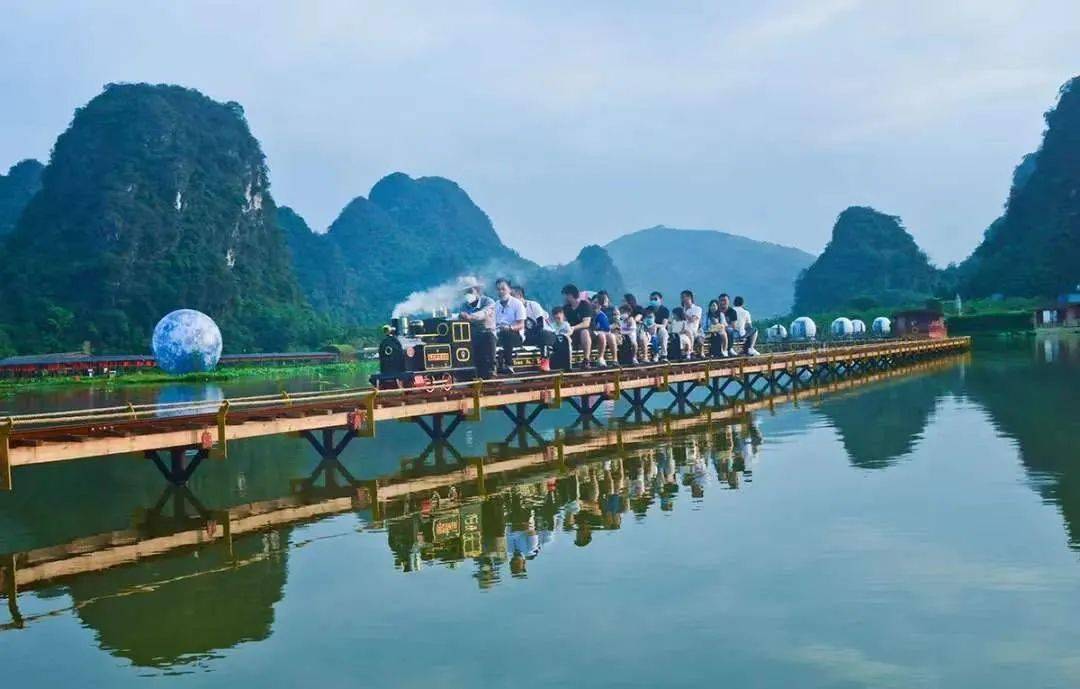 (每周六,日)峰林水乡九龙小镇赏万亩荷花,网红蒸汽小火车画中穿行