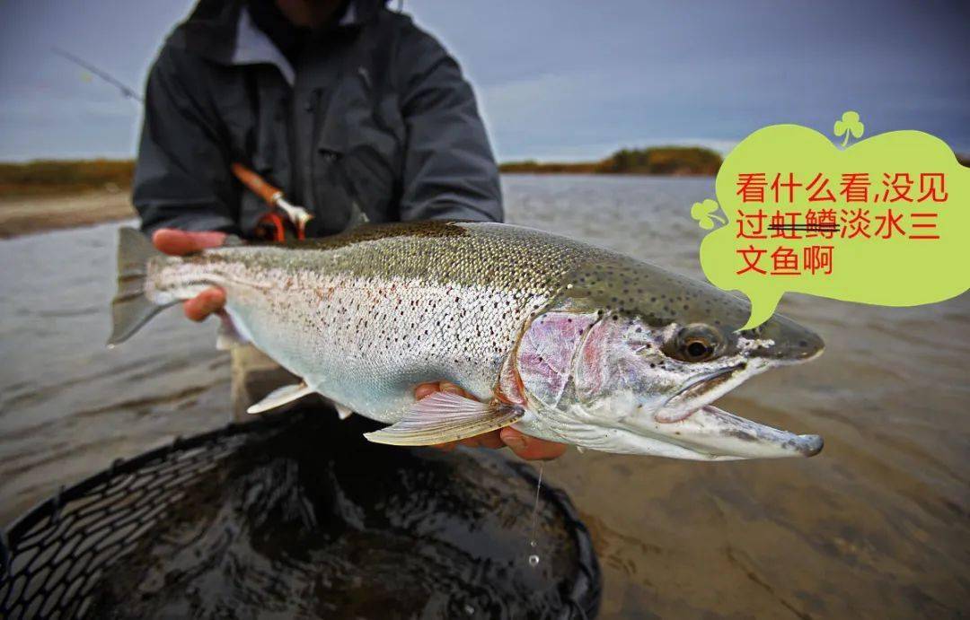 欣源|或带孩子去店里吃了海鲜，会感染血吸虫吗？从菜场买回的鱼和菜会带虫吗？——血吸虫（3）欣源说 | 孩子玩了脏水