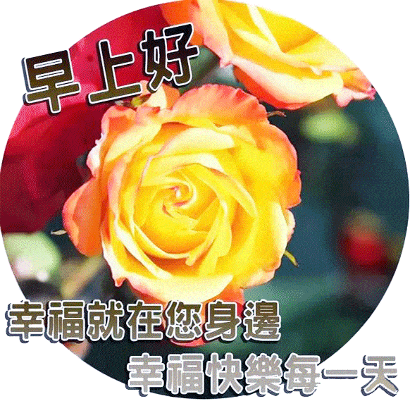 早上好,祝福您在未来的日子里,所有的好运都能兑现