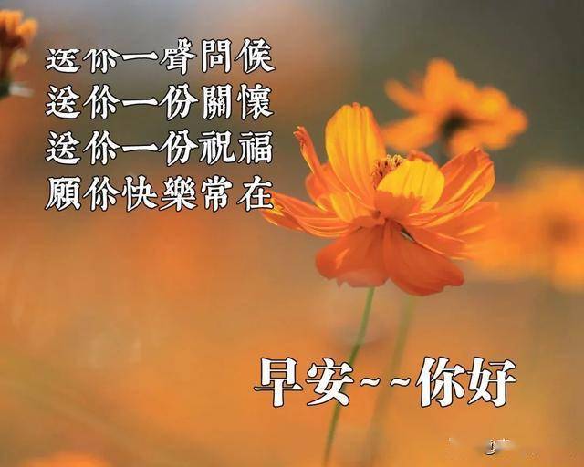 问候语简谱_早上好问候语图片(2)
