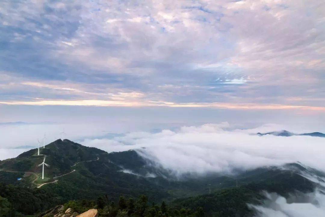 震撼!大悟县仙居顶清晨山雾美到窒息