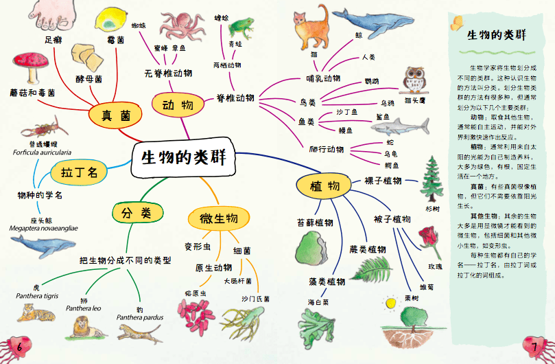 这是一套为孩子量身定做的科学思维导图,是让人爱上科学,玩转科学的神